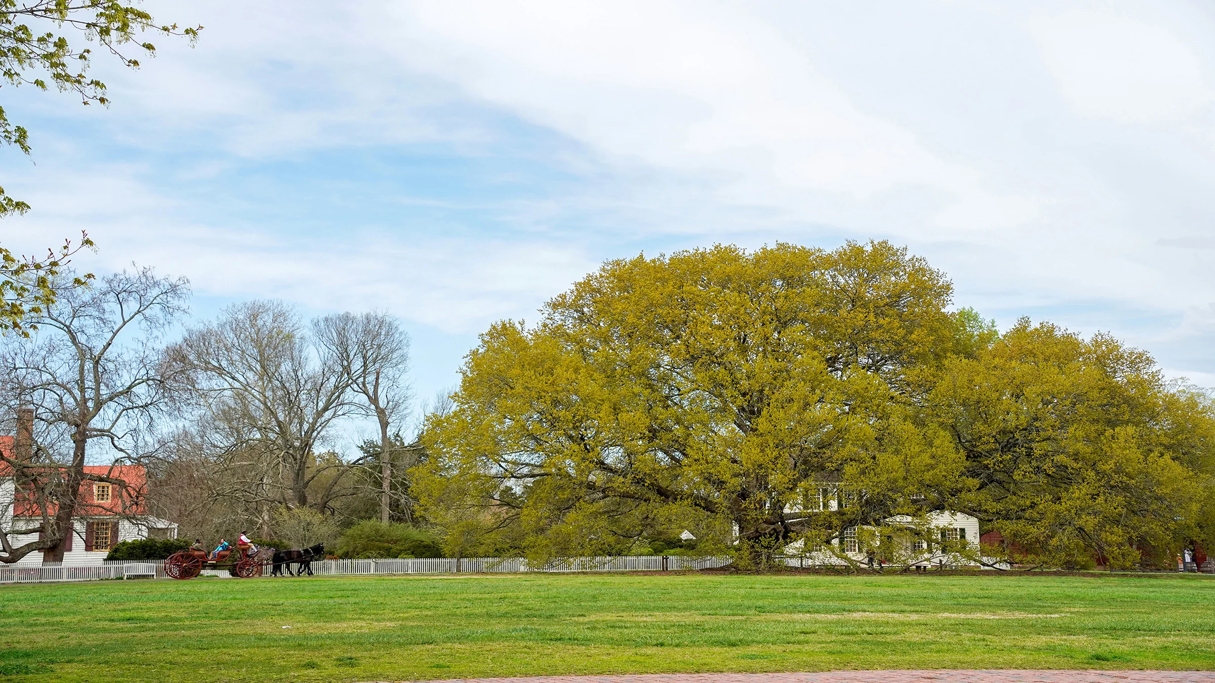 Williamsburg lawn and house