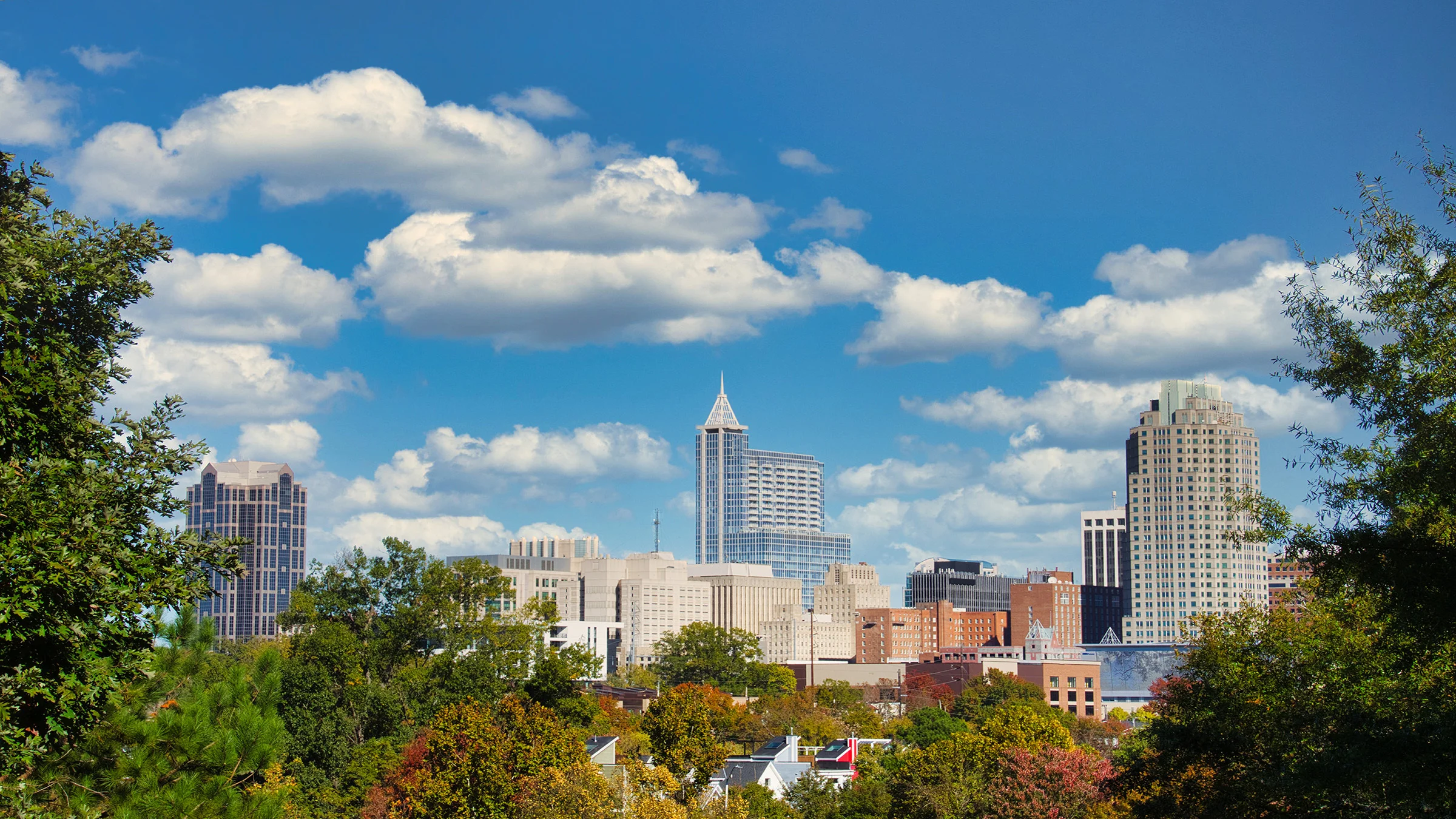 Raleigh skyline
