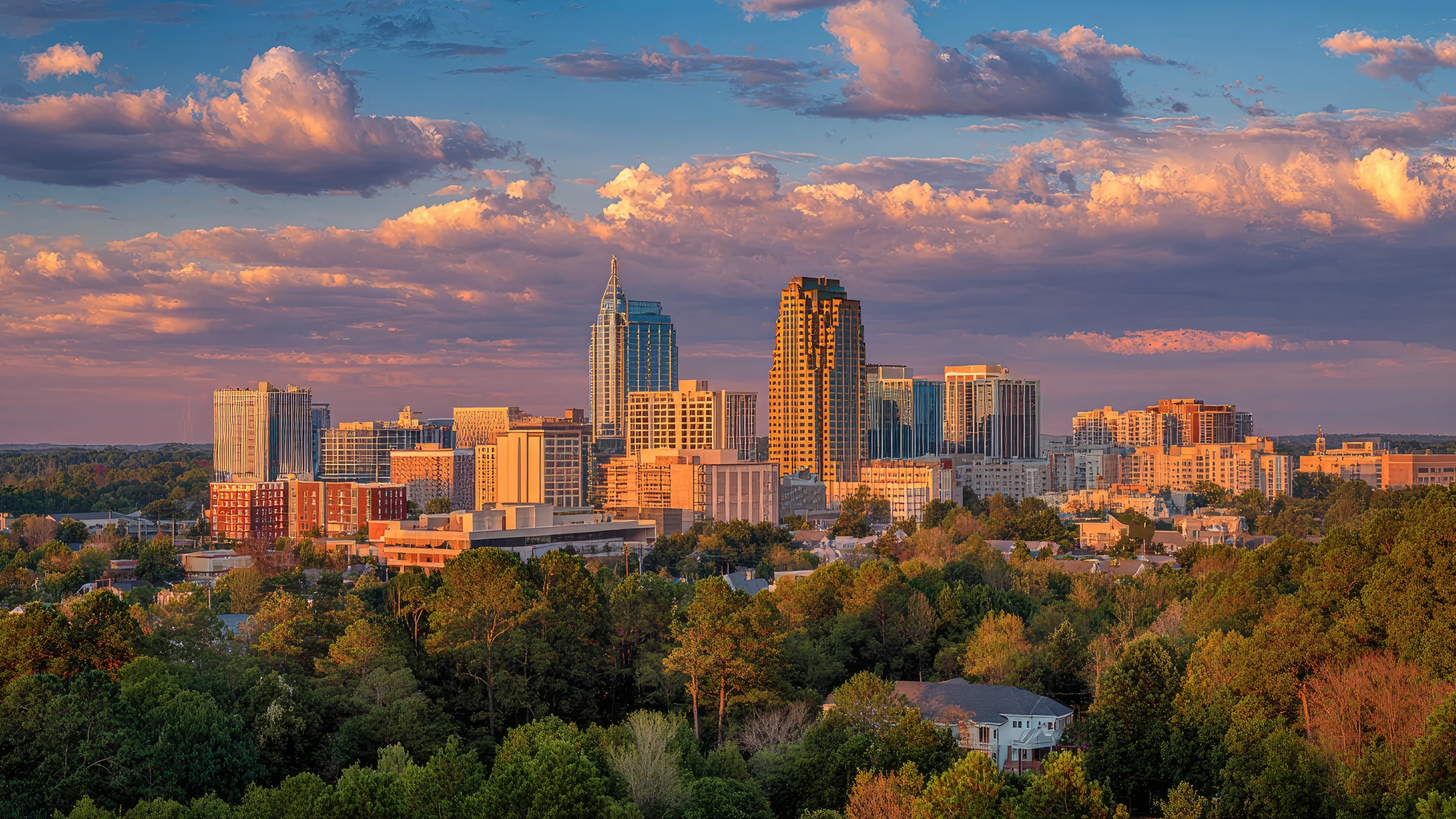 Downtown Raleigh skyline with fall trees